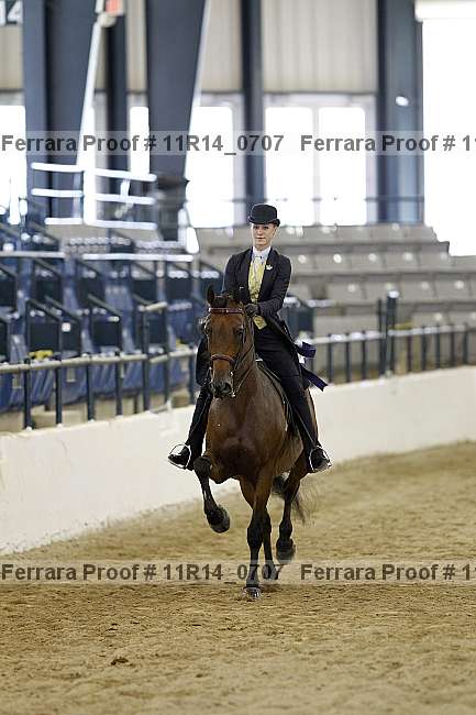 Proof 11r14_0707