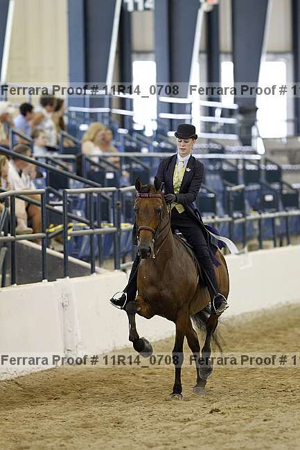 Proof 11r14_0708
