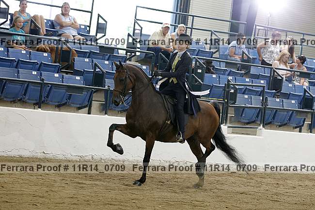 Proof 11r14_0709