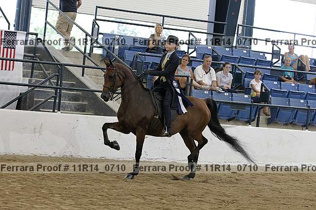 Proof 11r14_0710
