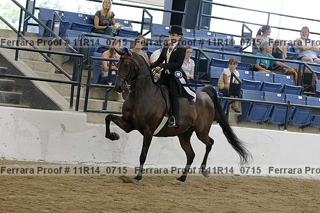 Proof 11r14_0715