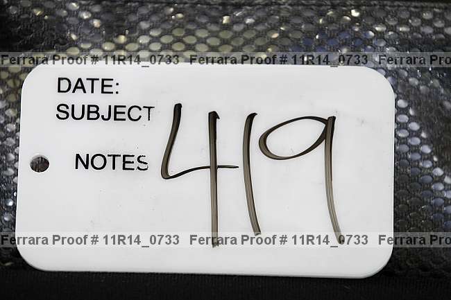 Proof 11r14_0733