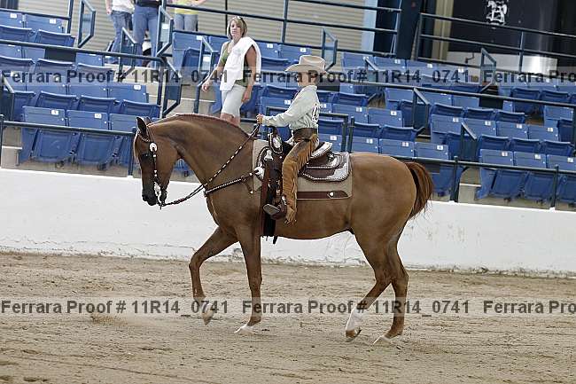 Proof 11r14_0741