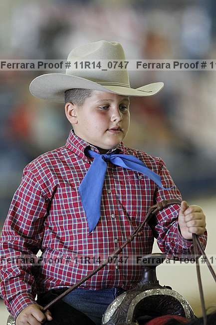 Proof 11r14_0747