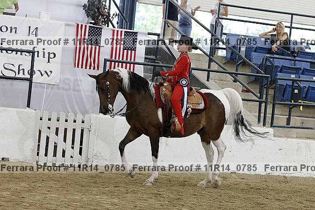Proof 11r14_0785