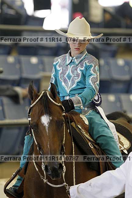Proof 11r14_0787