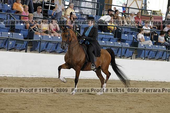 Proof 11r14_0809