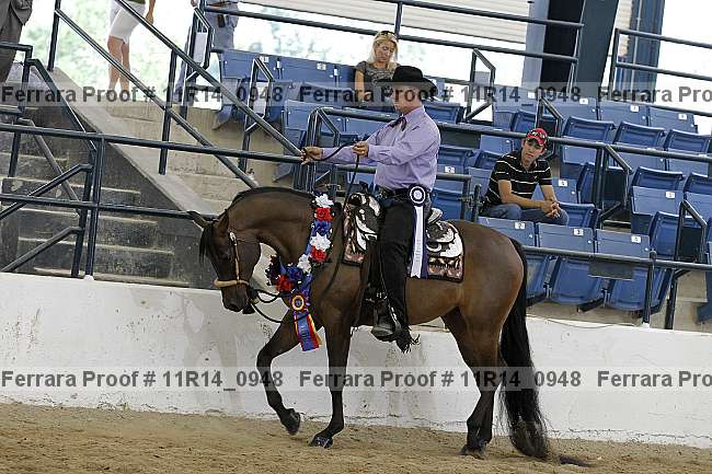 Proof 11r14_0948