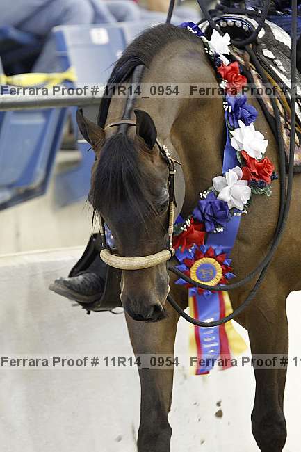 Proof 11r14_0954