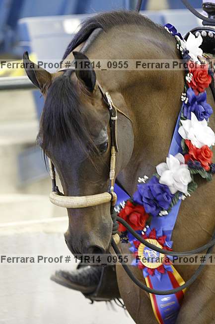 Proof 11r14_0955
