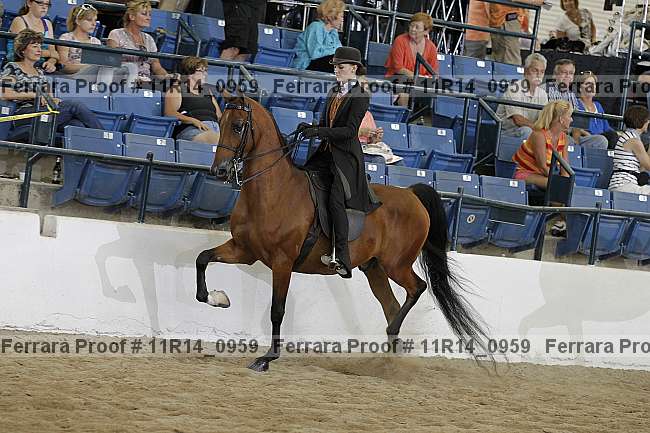 Proof 11r14_0959