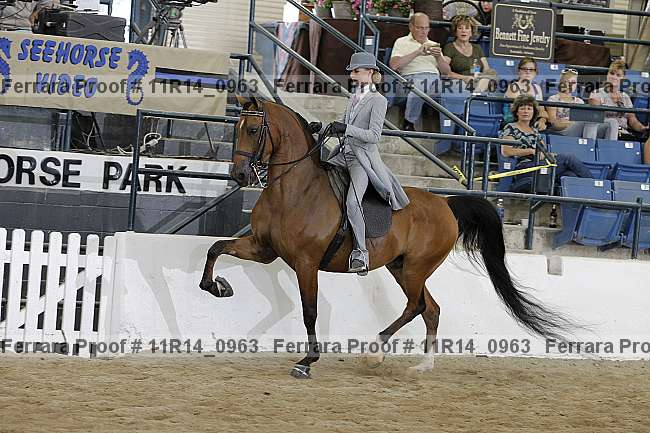 Proof 11r14_0963