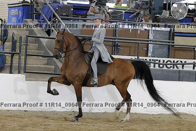 Proof 11r14_0964