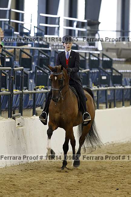 Proof 11r14_0965