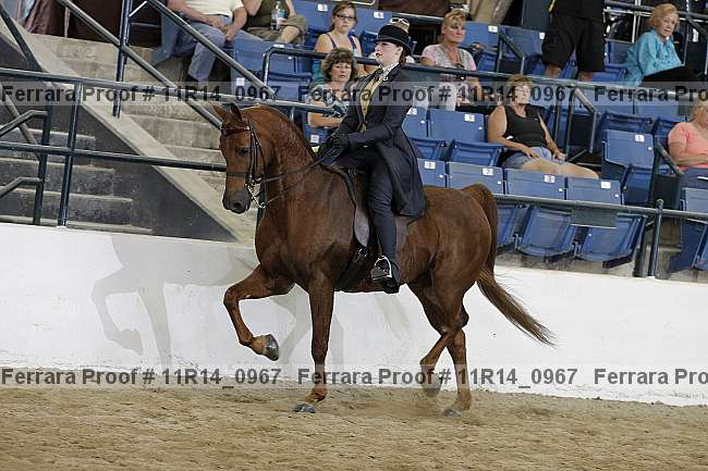 Proof 11r14_0967