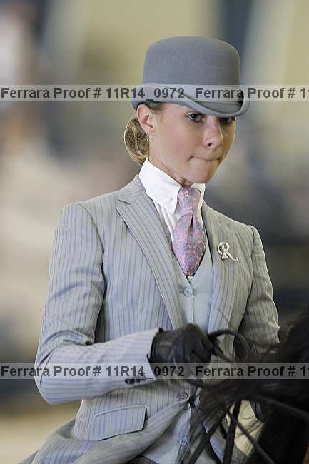 Proof 11r14_0972