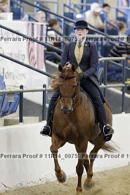 Proof 11r14_0975