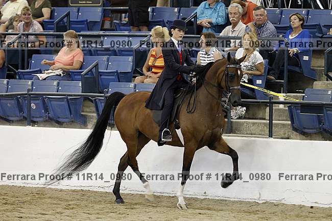 Proof 11r14_0980