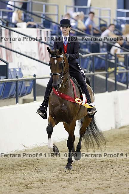 Proof 11r14_0989