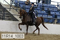 11r14_1003 proof