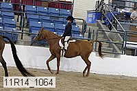 11r14_1064 proof