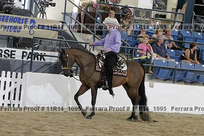Proof 11r14_1095