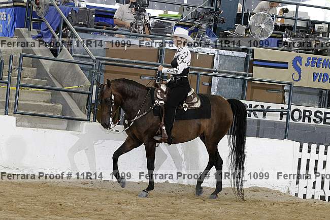 Proof 11r14_1099