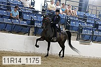 11r14_1175 proof