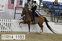 11r14_1183 proof