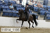 11r14_1185 proof