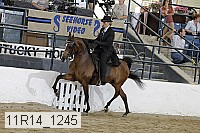 11r14_1245 proof