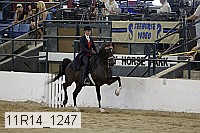 11r14_1247 proof