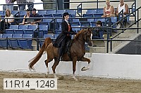 11r14_1248 proof