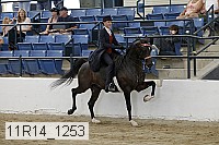11r14_1253 proof