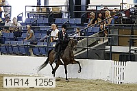11r14_1255 proof