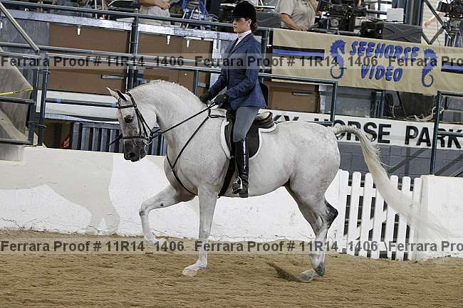 Proof 11r14_1406