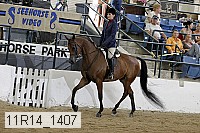 11r14_1407 proof