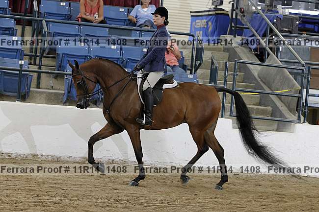 Proof 11r14_1408