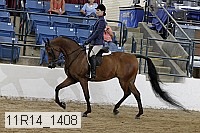 11r14_1408 proof
