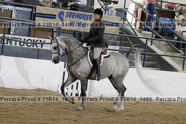 Proof 11r14_1409