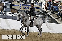 11r14_1409 proof