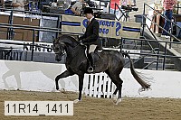 11r14_1411 proof