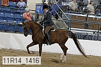 11r14_1416 proof