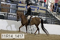 11r14_1417 proof