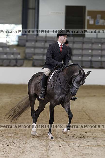 Proof 11r14_1418