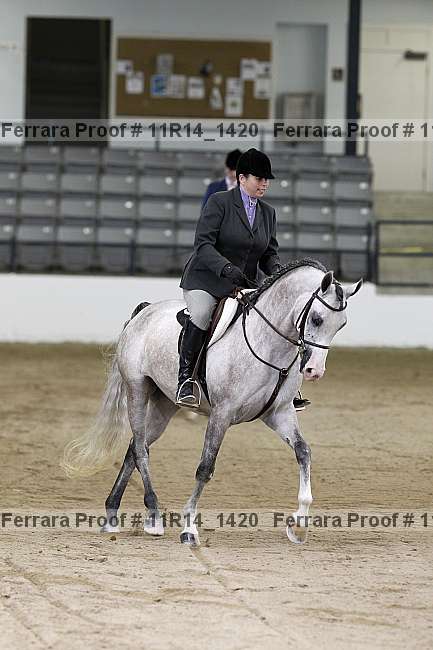 Proof 11r14_1420