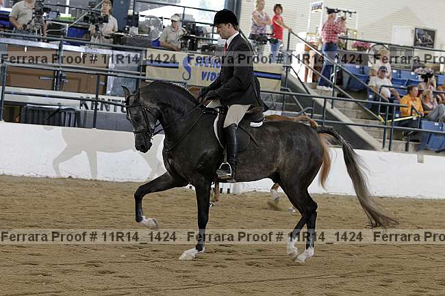 Proof 11r14_1424
