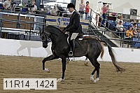 11r14_1424 proof