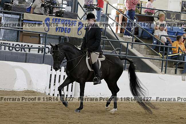 Proof 11r14_1427