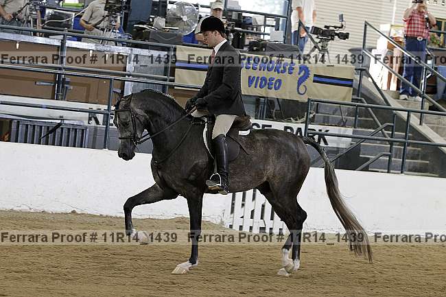 Proof 11r14_1439